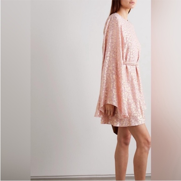 STELLA MCCARTNEY Delia belted metallic coupé silk-chiffon mini dress $1,698 - Picture 2 of 14